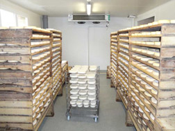 chambre froide fromagerie