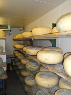 salle d'affinage fromagerie