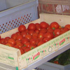 circuit court vente fruits et légumes
